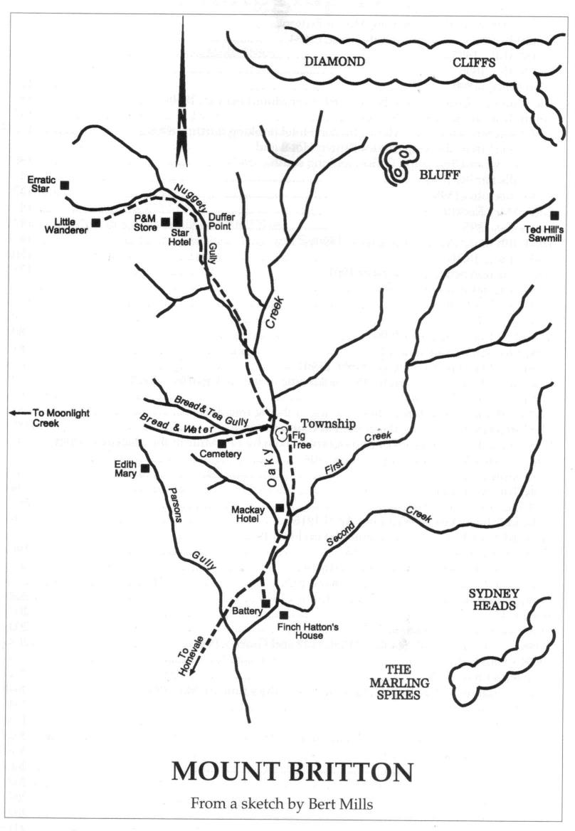 Map of the Mt. Britton goldfield